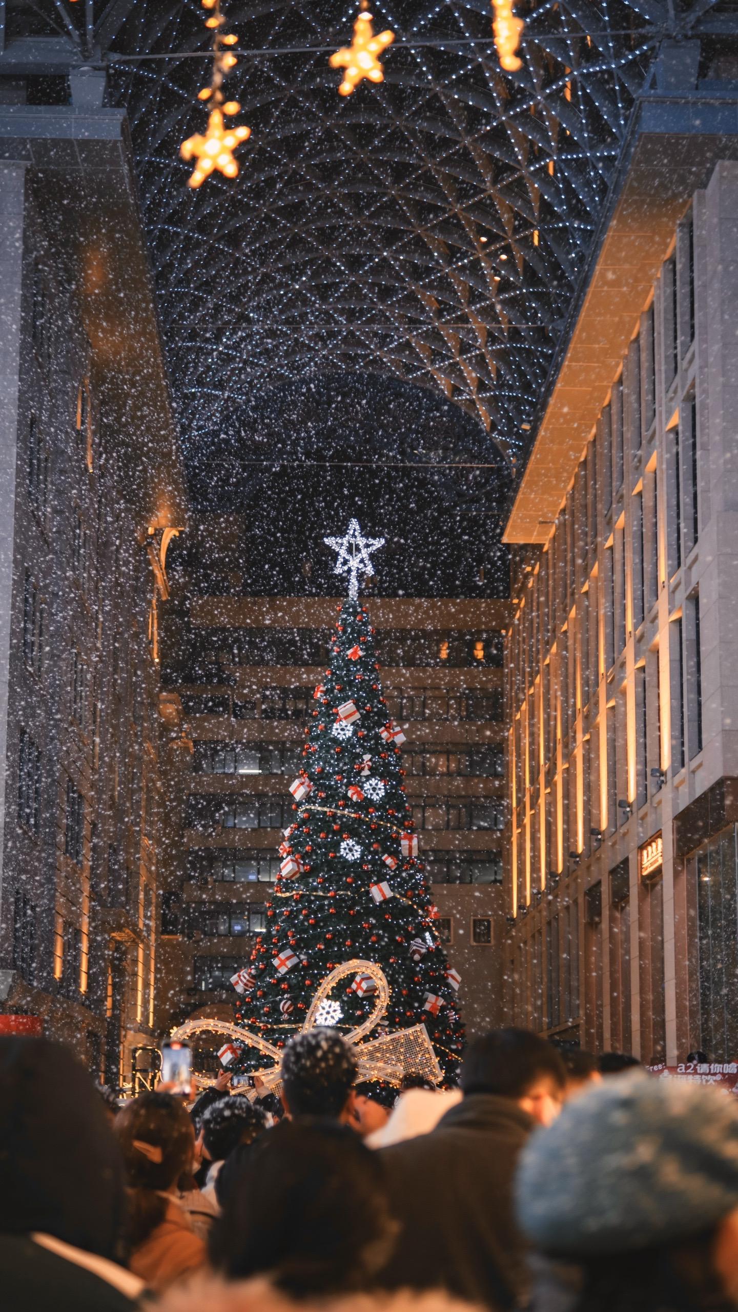 这个圣诞迎来了2024COOY全球资源网-软件资源-干货分享-知识求知COOY全球资源网