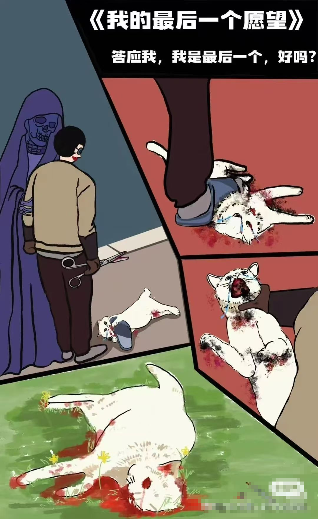 图片[10]COOY全球资源网-软件资源-干货分享-知识求知浙江衢州蔡某某当众虐杀猫咪，终于收到一纸“情况通报”COOY全球资源网-软件资源-干货分享-知识求知COOY全球资源网