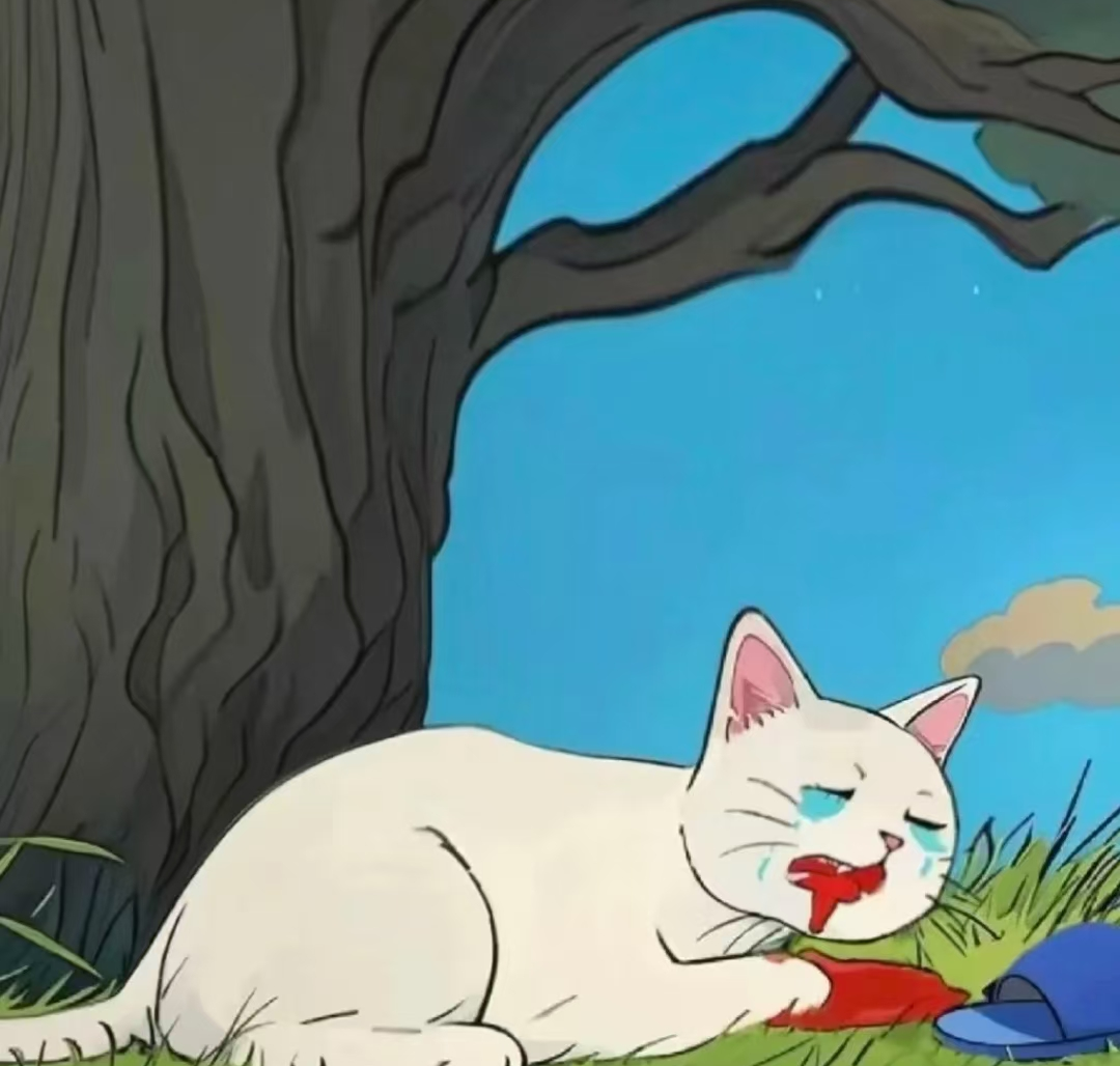 图片[9]COOY全球资源网-软件资源-干货分享-知识求知浙江衢州蔡某某当众虐杀猫咪，终于收到一纸“情况通报”COOY全球资源网-软件资源-干货分享-知识求知COOY全球资源网