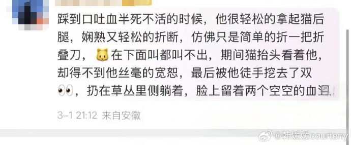 图片[2]COOY全球资源网-软件资源-干货分享-知识求知浙江衢州蔡某某当众虐杀猫咪，终于收到一纸“情况通报”COOY全球资源网-软件资源-干货分享-知识求知COOY全球资源网